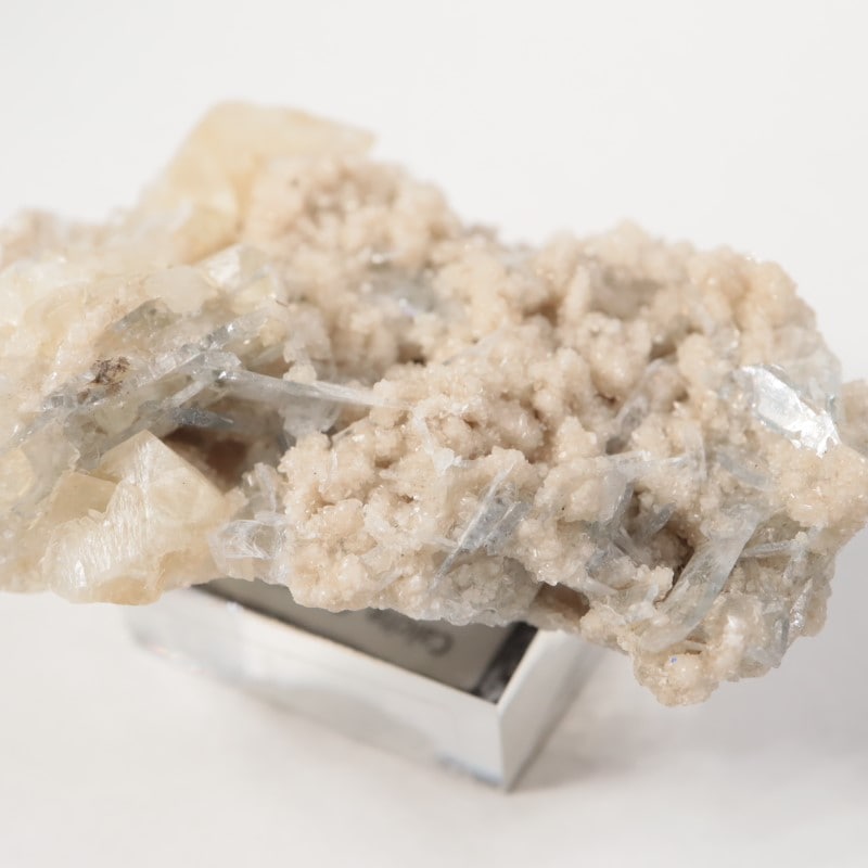 ���ϥ����������륵���ȡ����쥹�ƥ���