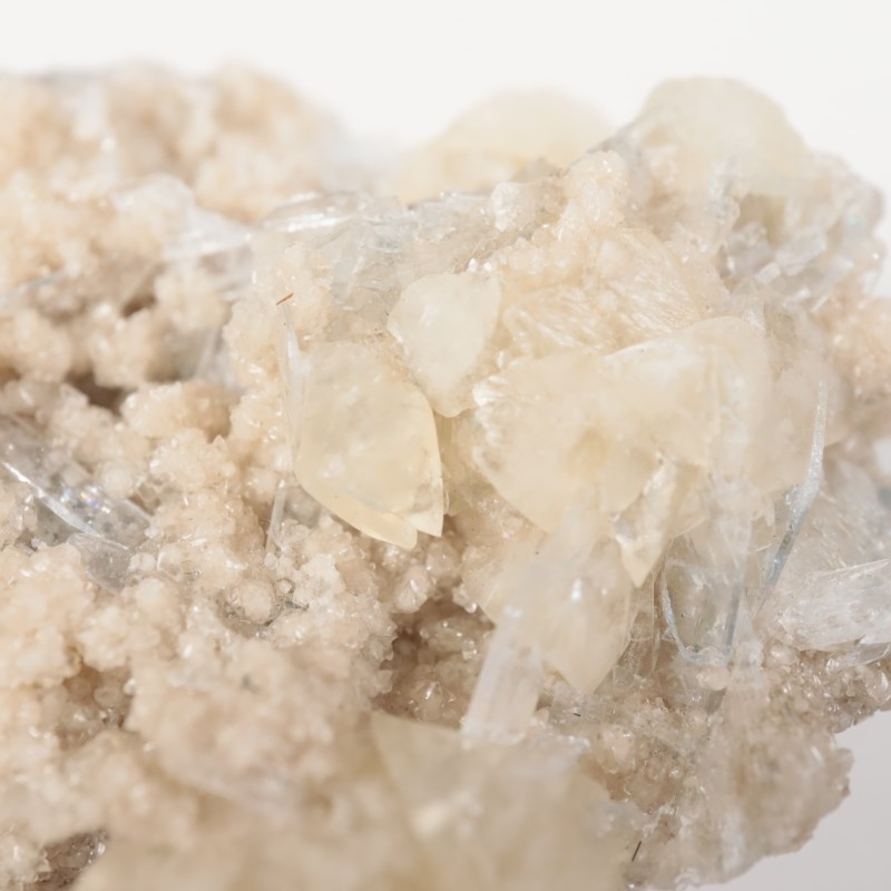 ���ϥ����������륵���ȡ����쥹�ƥ���