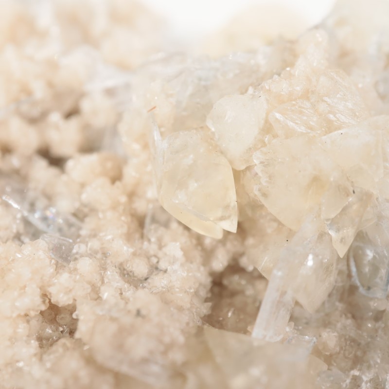 ���ϥ����������륵���ȡ����쥹�ƥ���