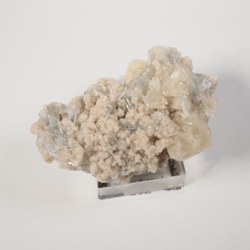 ���ϥ����������륵���ȡ����쥹�ƥ���