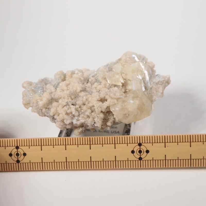 ���ϥ����������륵���ȡ����쥹�ƥ���