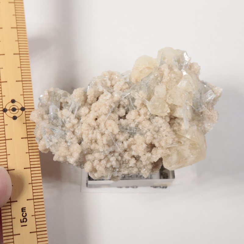 ���ϥ����������륵���ȡ����쥹�ƥ���