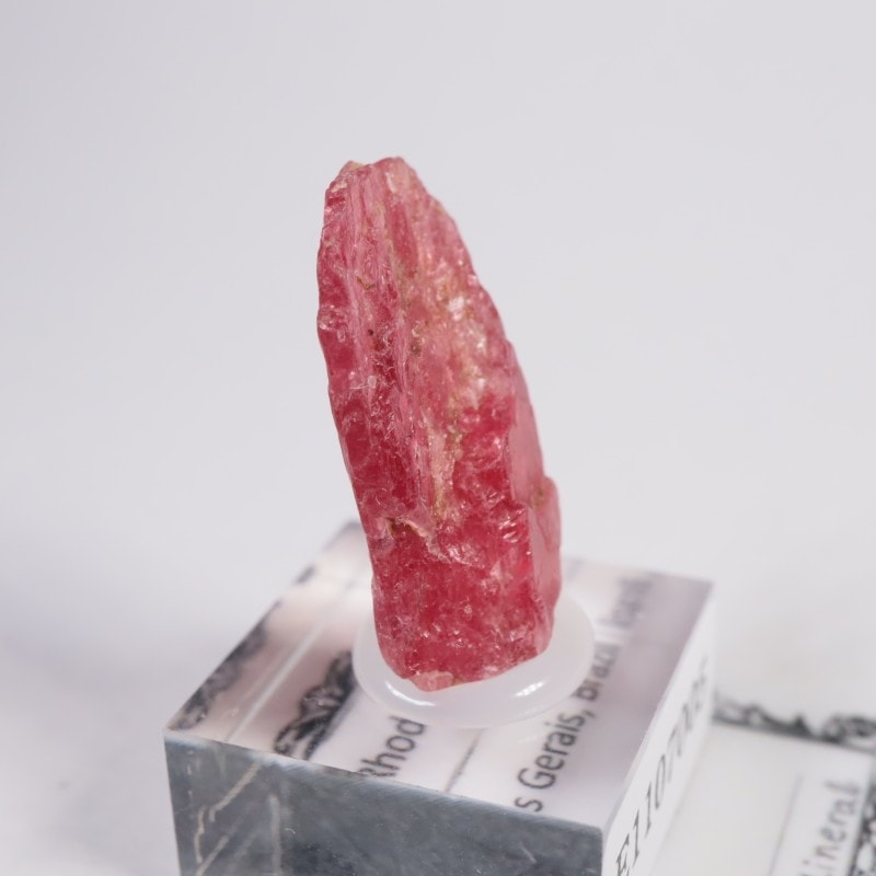 知ってる?ロードラナイト✨NWA3341　原始的隕石標本 激レア知ってる?ロードラナイト✨NWA3341原始的隕石標本