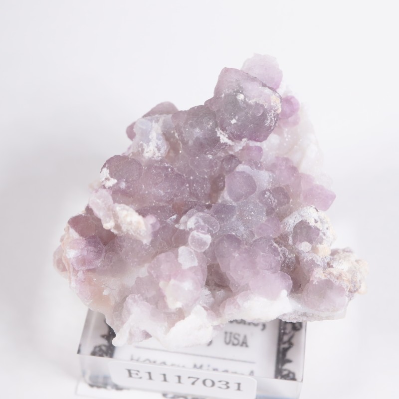 ���꥾�ʽ� �ե����饤��