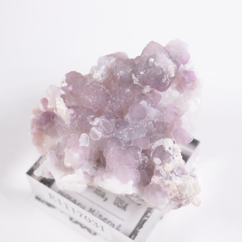 ���꥾�ʽ� �ե����饤��