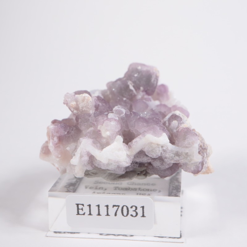 ���꥾�ʽ� �ե����饤��