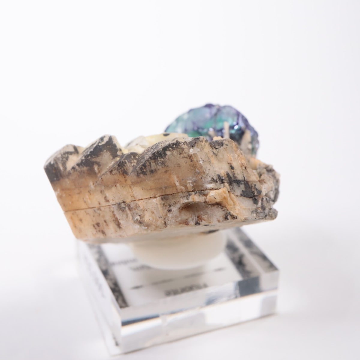 �����󥴹ۻ� �ե����饤��