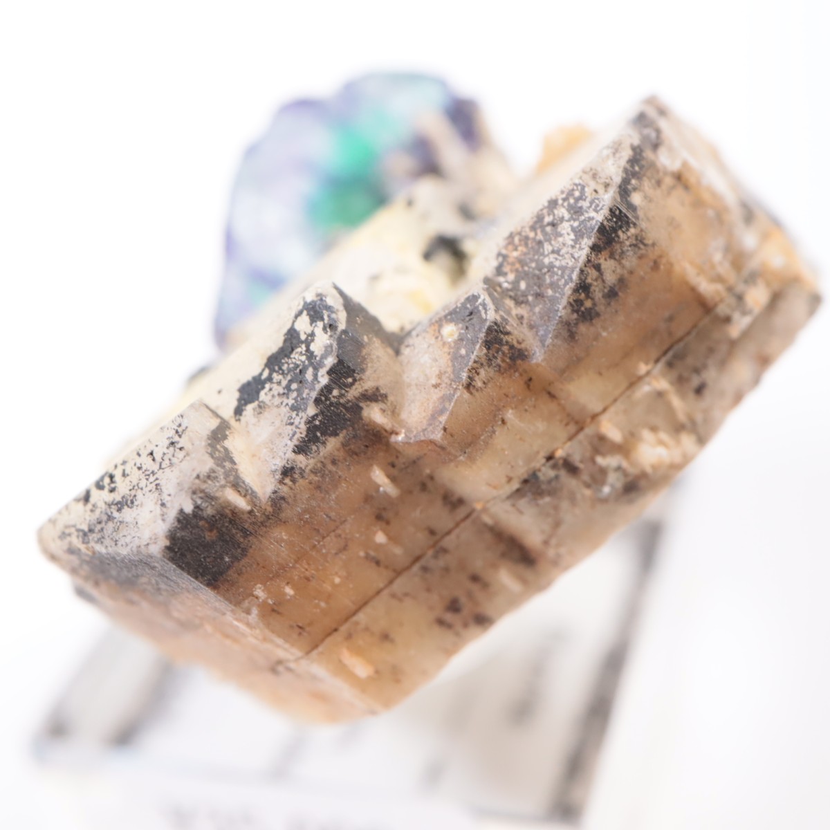 �����󥴹ۻ� �ե����饤��