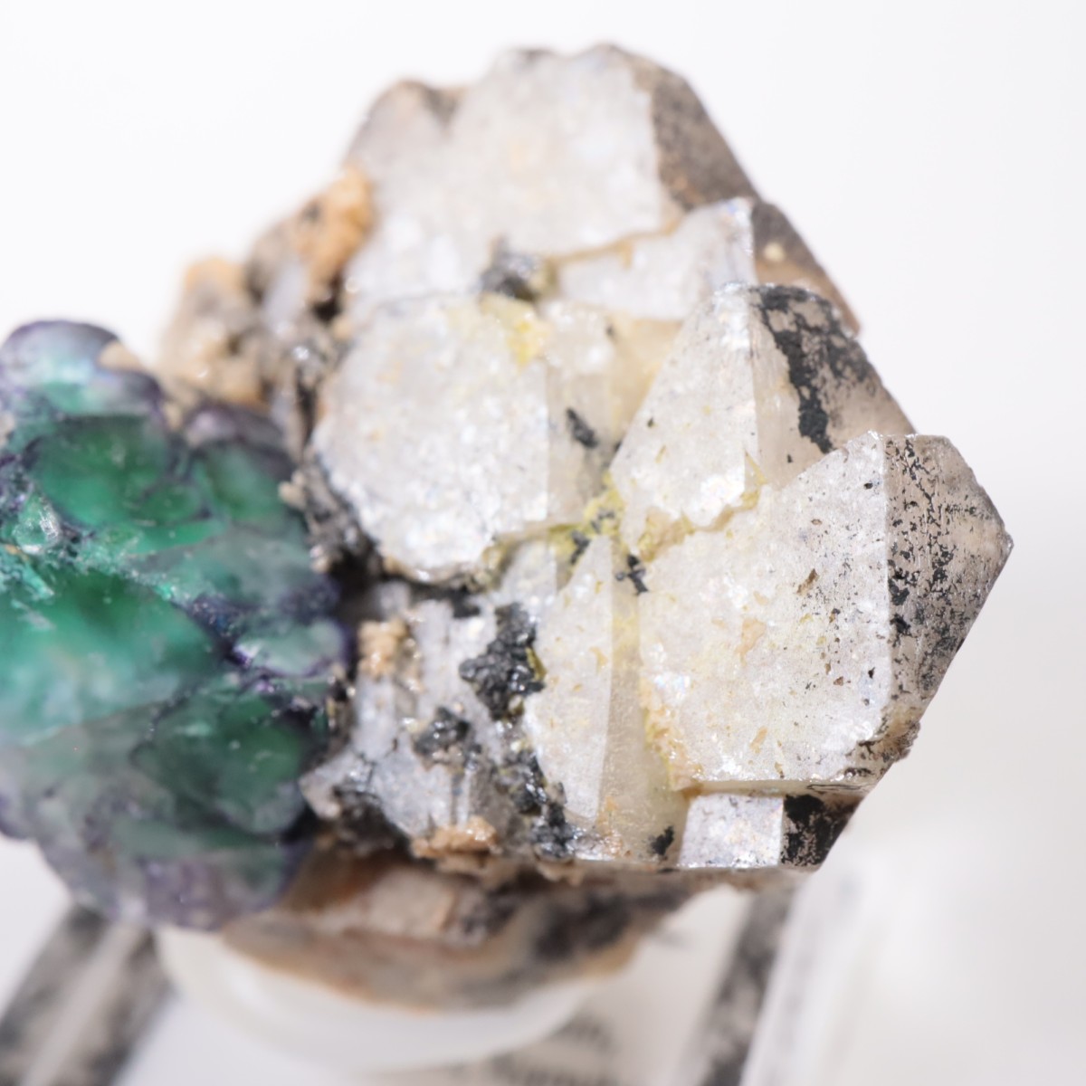 �����󥴹ۻ� �ե����饤��