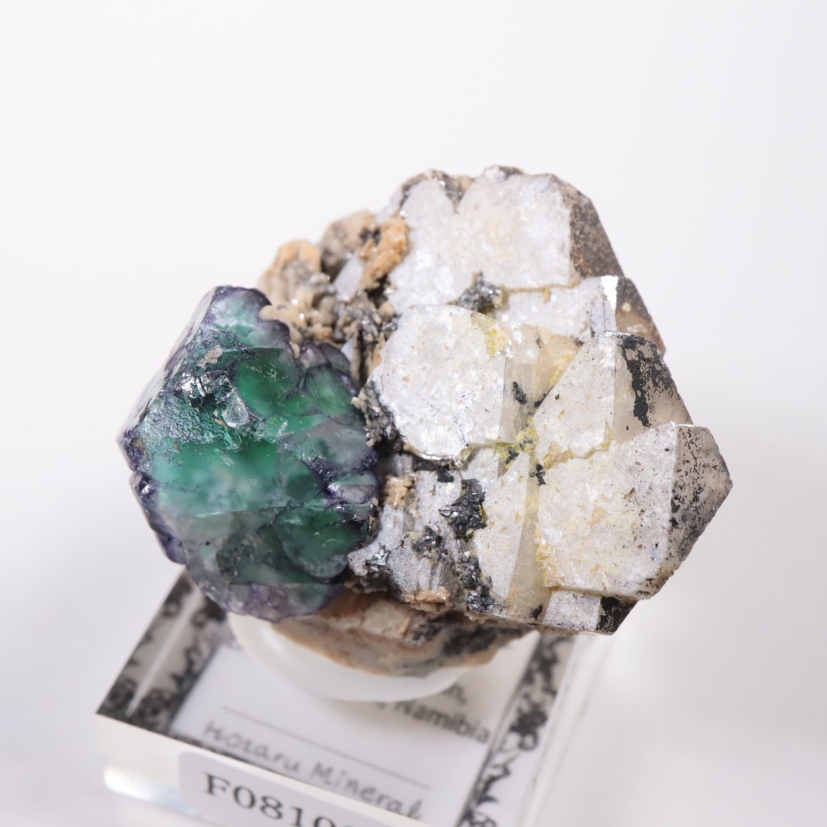 �����󥴹ۻ� �ե����饤��