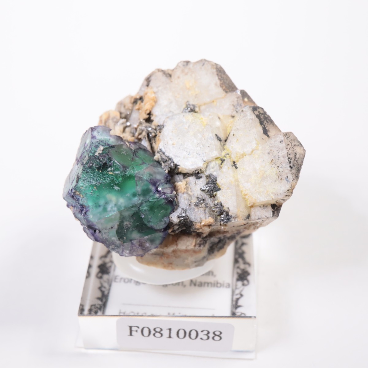 �����󥴹ۻ� �ե����饤��