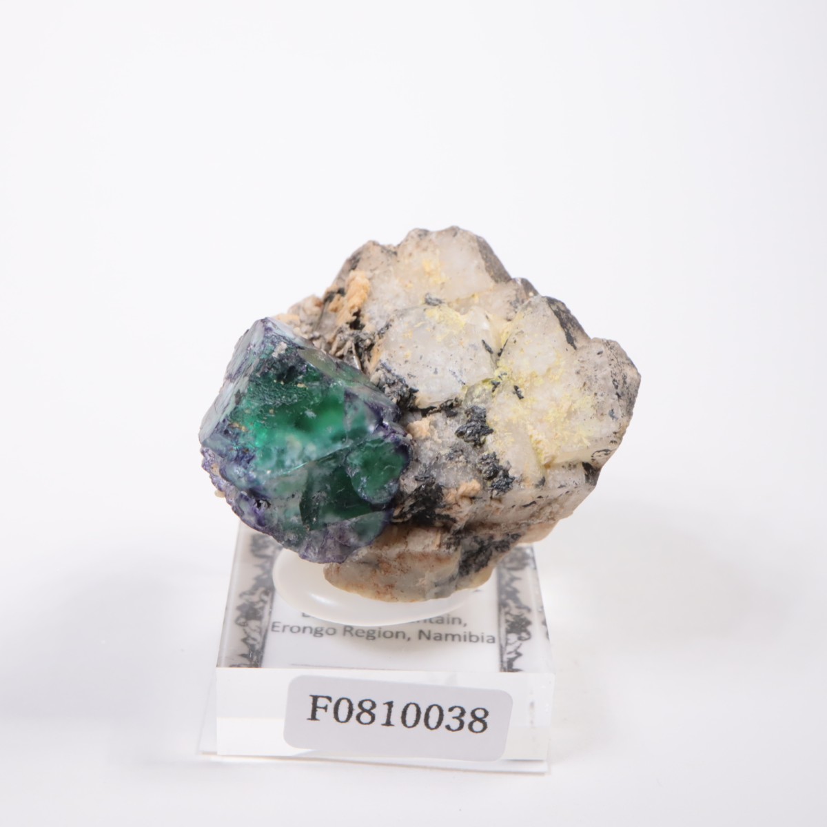 �����󥴹ۻ� �ե����饤��