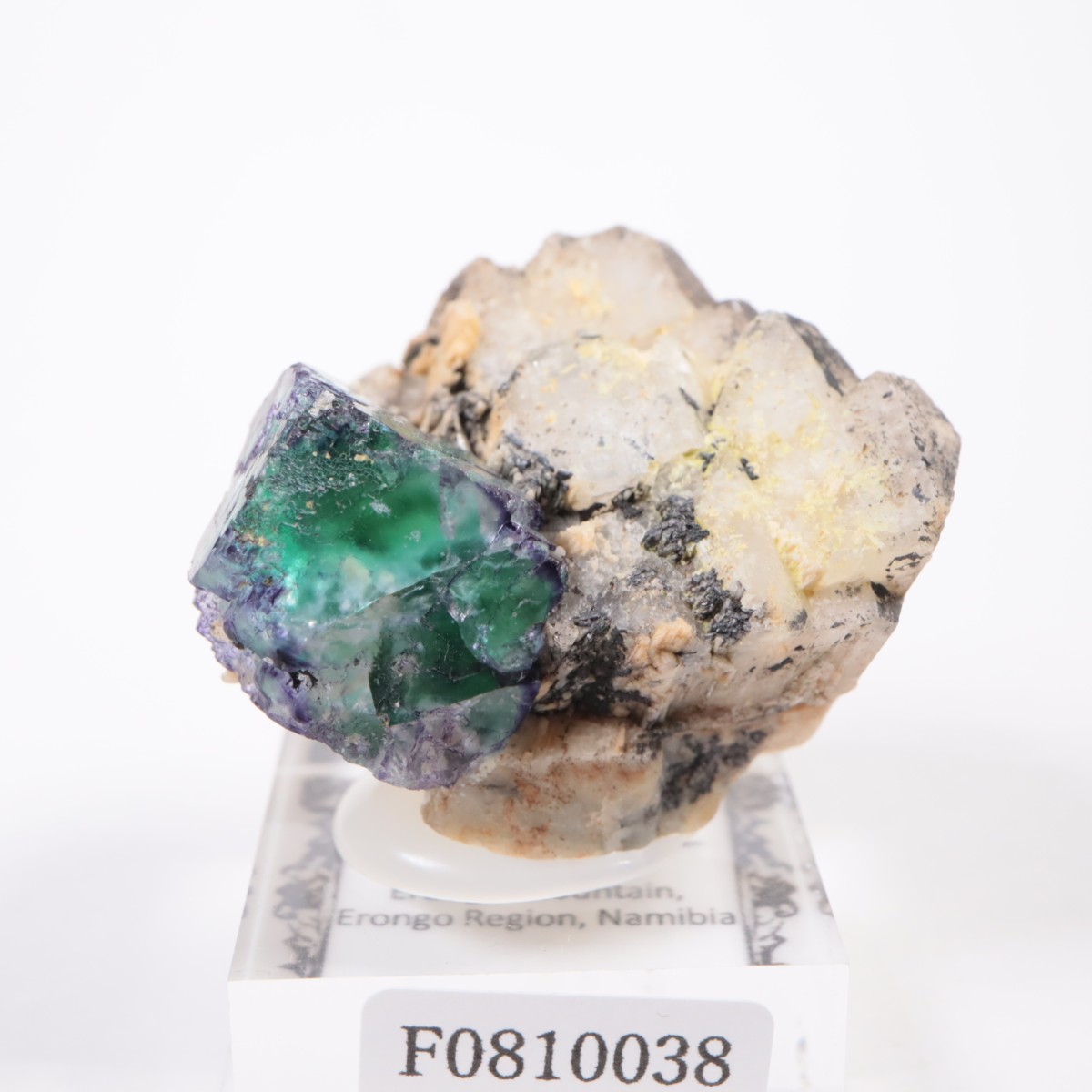 �����󥴹ۻ� �ե����饤��