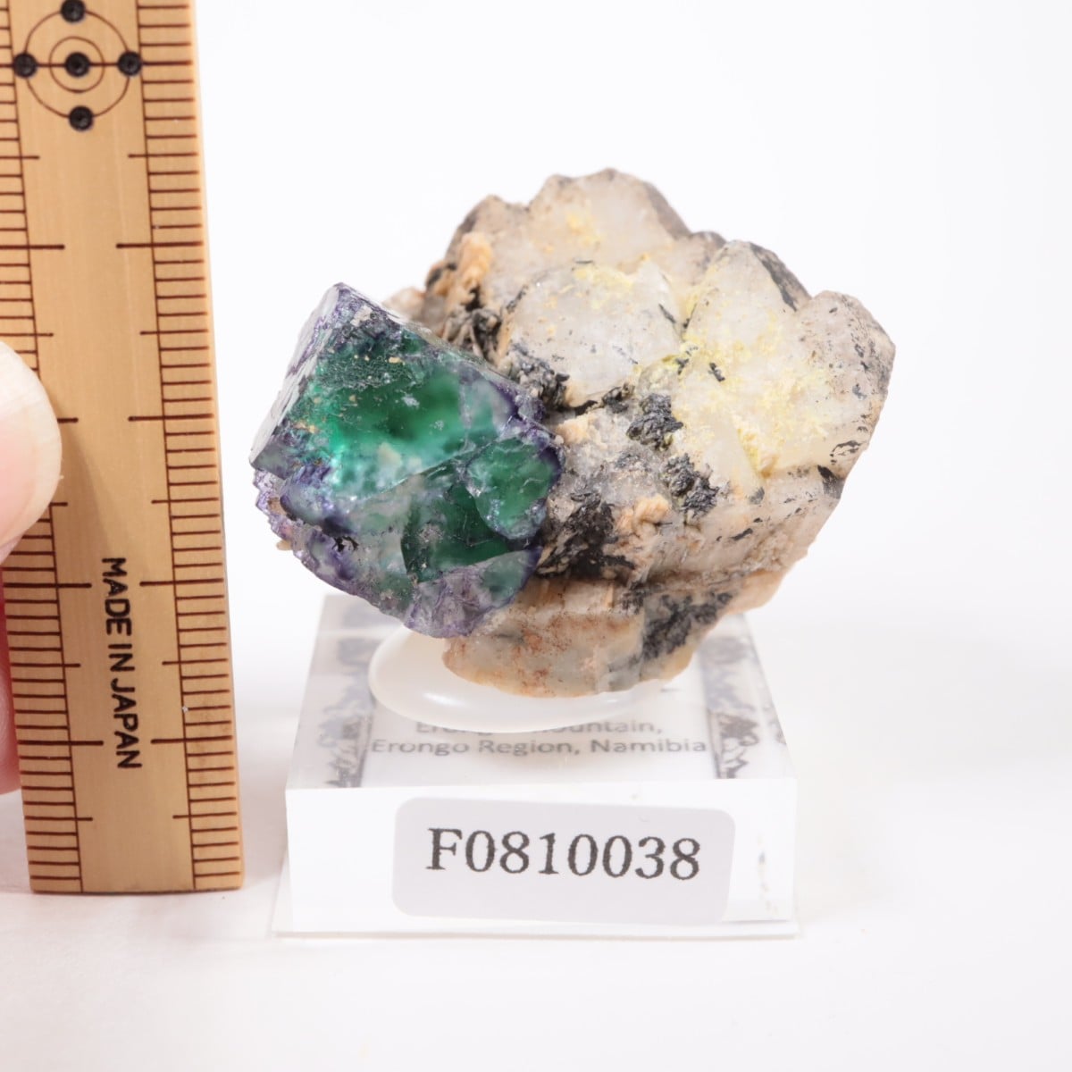 �����󥴹ۻ� �ե����饤��