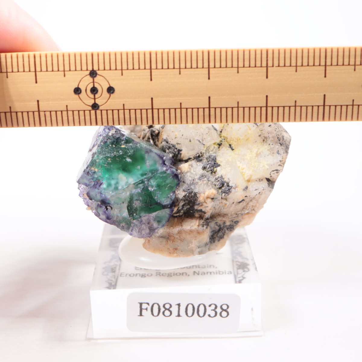 �����󥴹ۻ� �ե����饤��