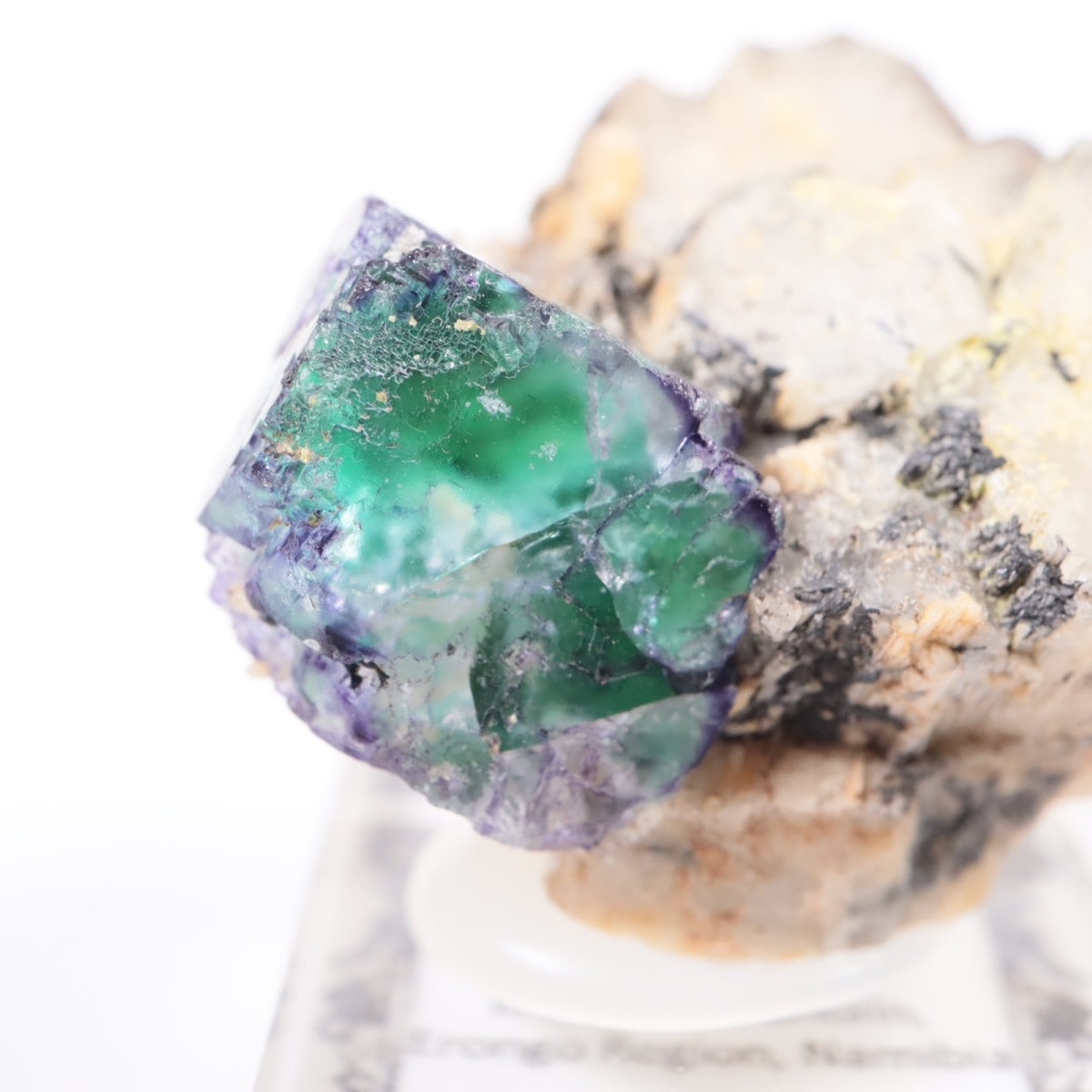 �����󥴹ۻ� �ե����饤��