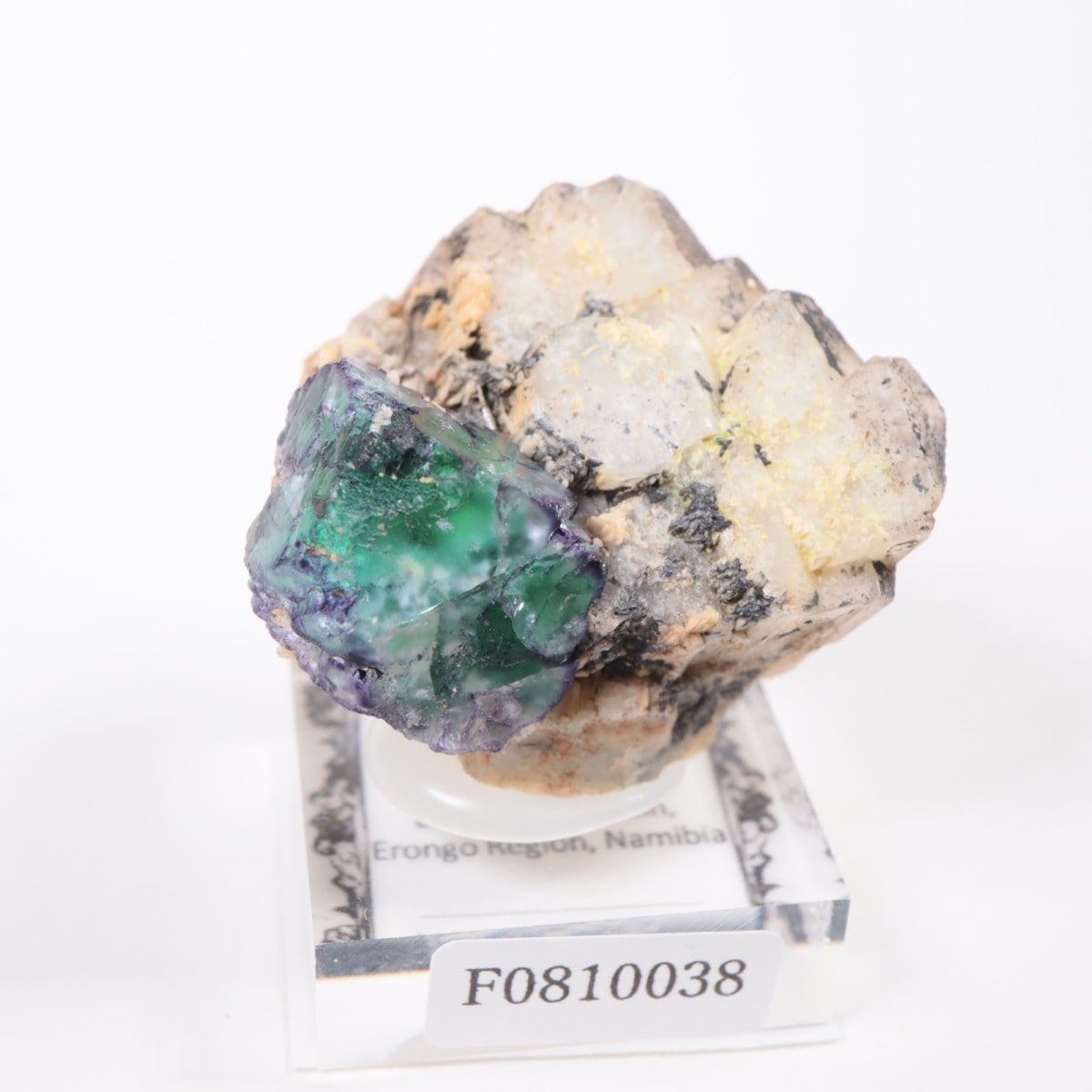 �����󥴹ۻ� �ե����饤��