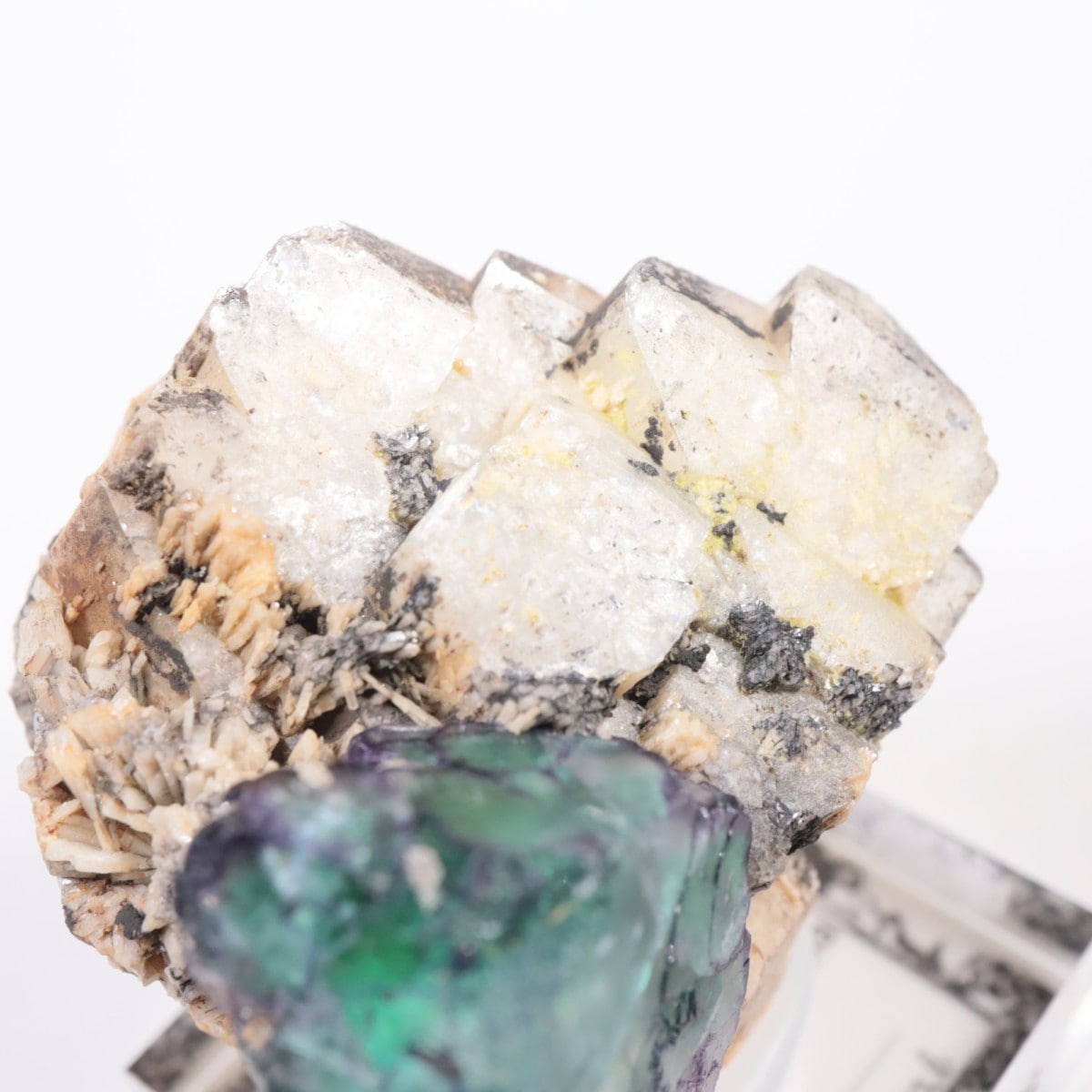 �����󥴹ۻ� �ե����饤��