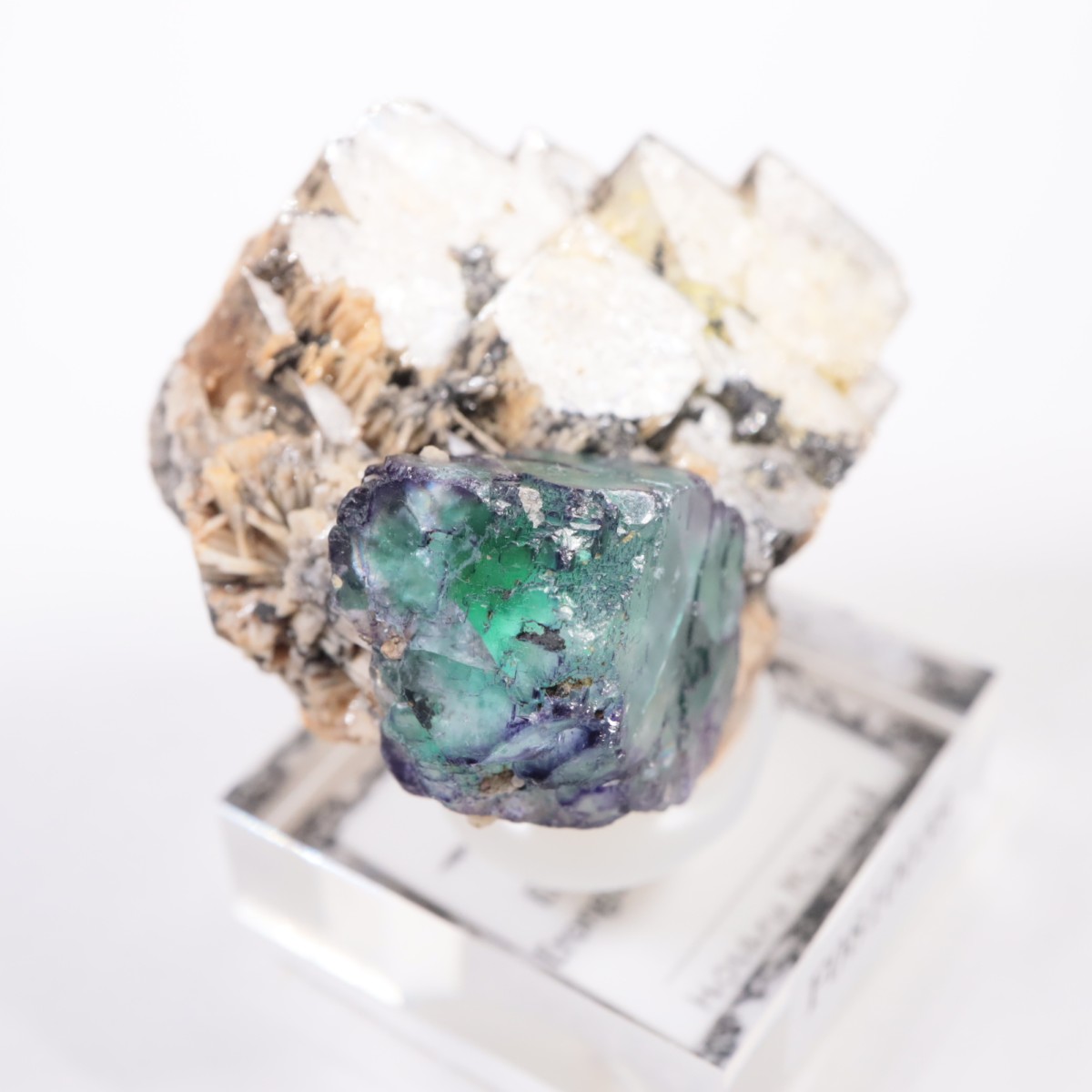 �����󥴹ۻ� �ե����饤��