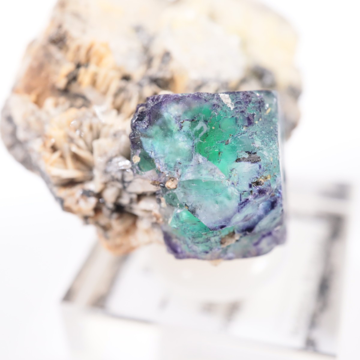 �����󥴹ۻ� �ե����饤��