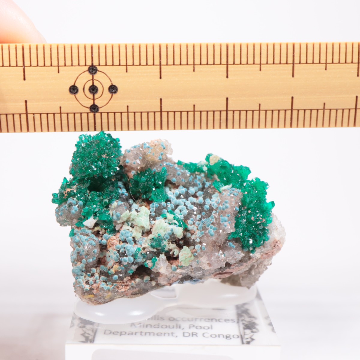 ���󥴻� �������ץơ���