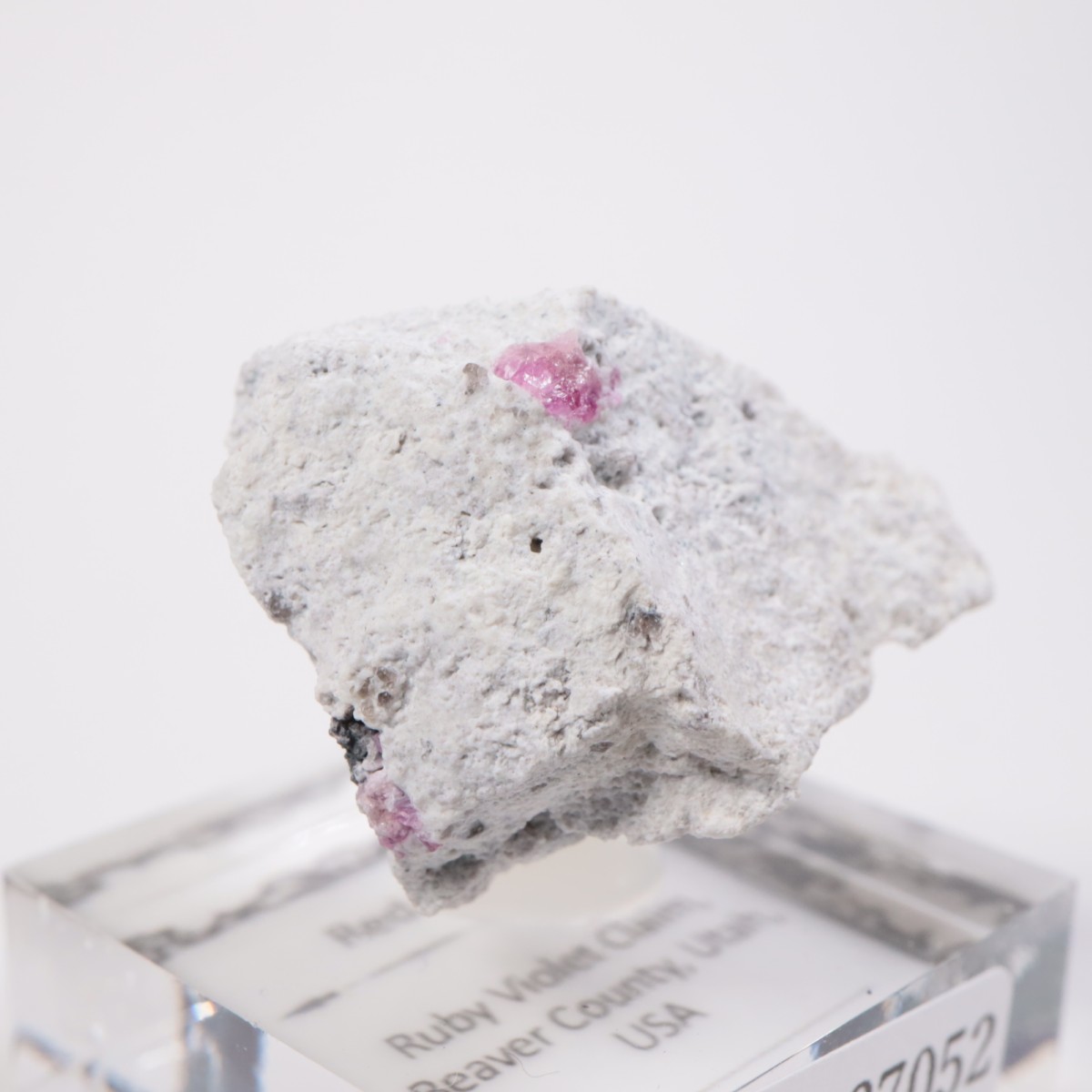 Ruby Violet Claim�� ��åɥ٥��