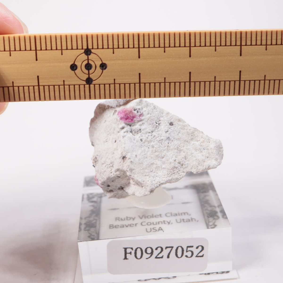 Ruby Violet Claim�� ��åɥ٥��