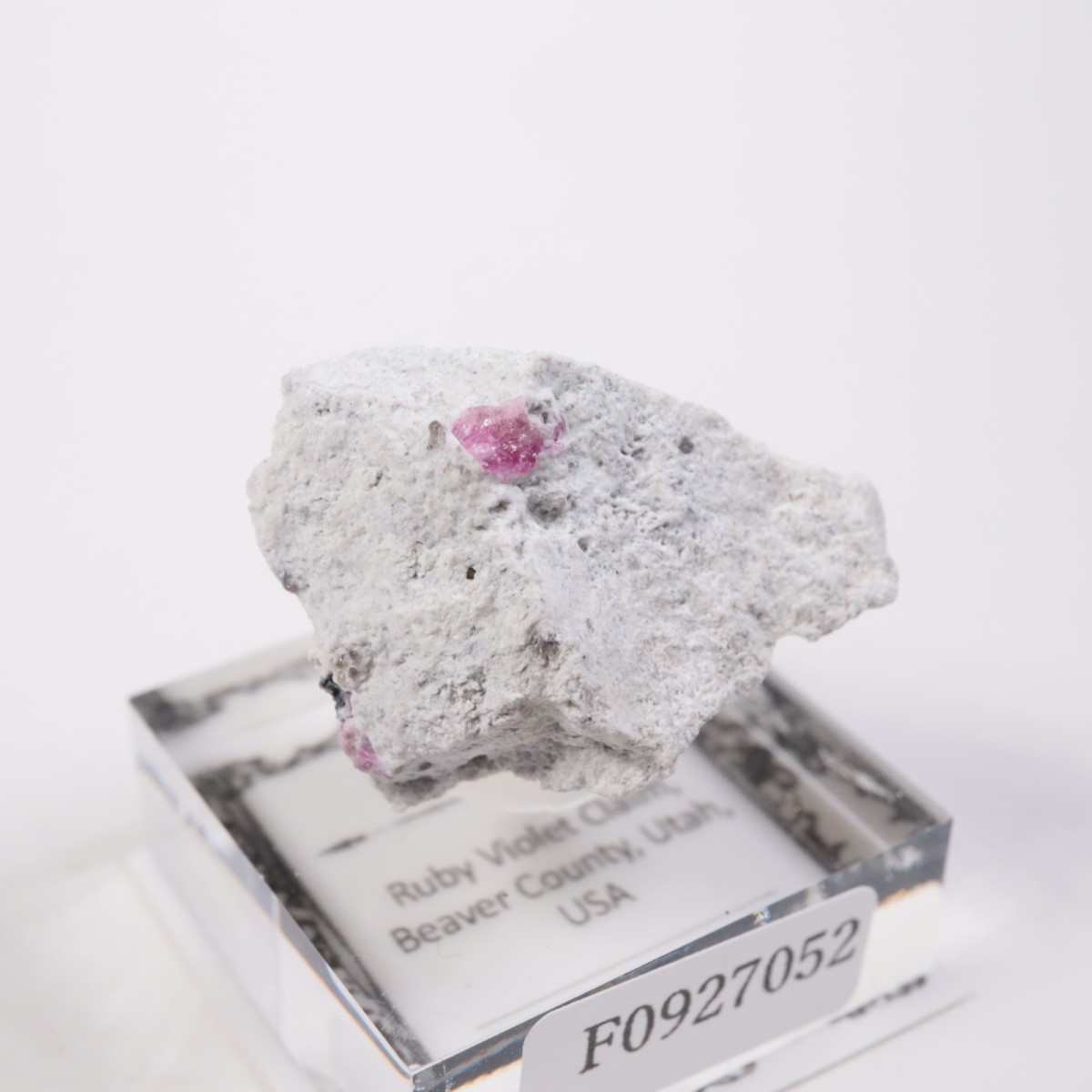 Ruby Violet Claim�� ��åɥ٥��