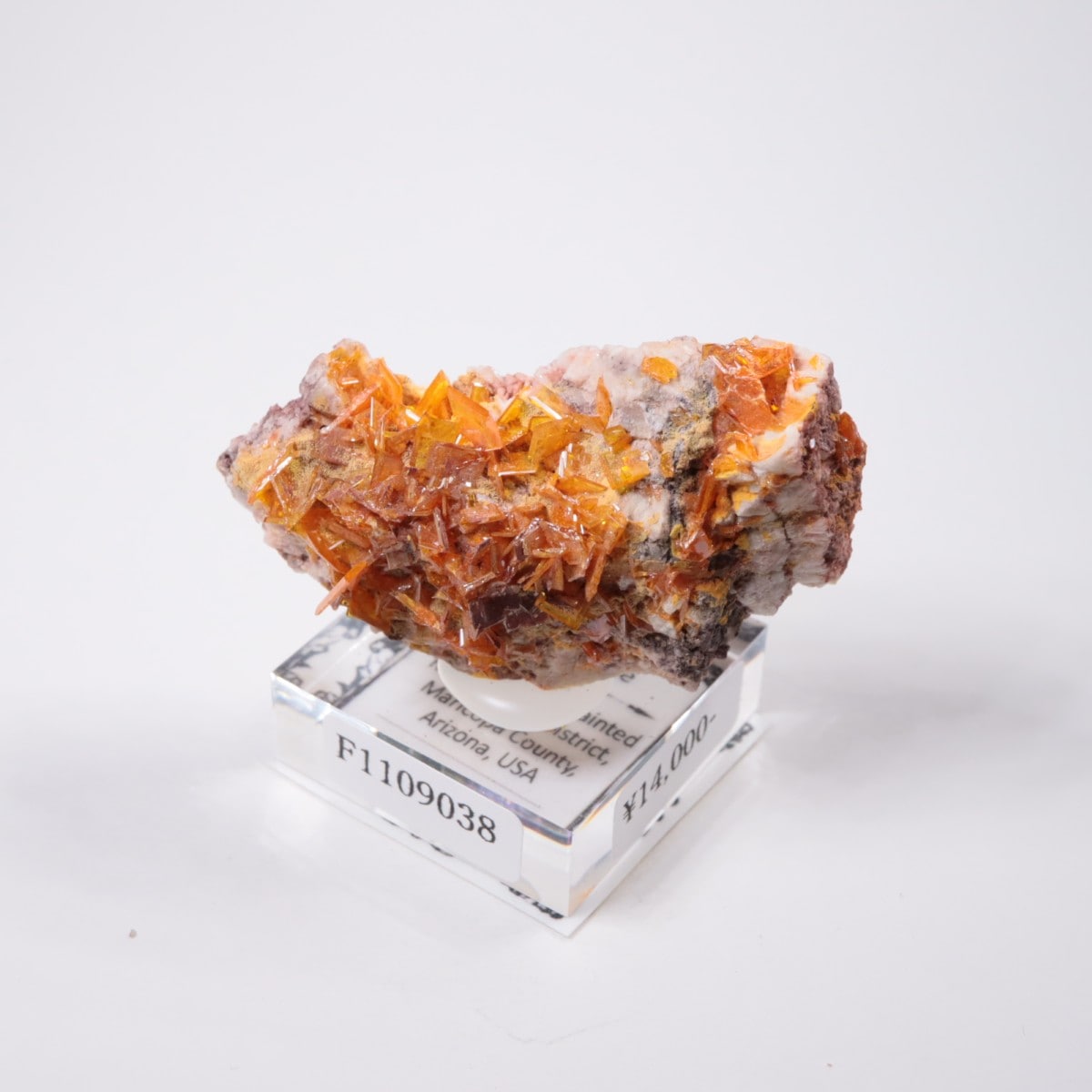 Rowley�ۻ� ����ե��ʥ���