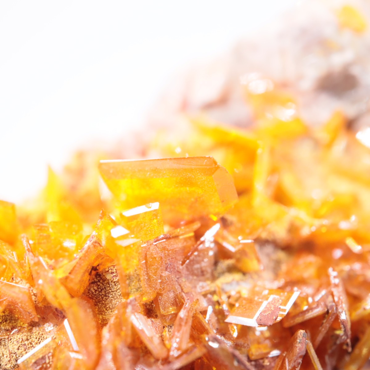 Rowley�ۻ� ����ե��ʥ���