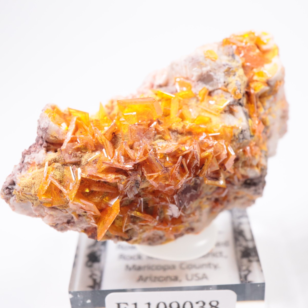 Rowley�ۻ� ����ե��ʥ���