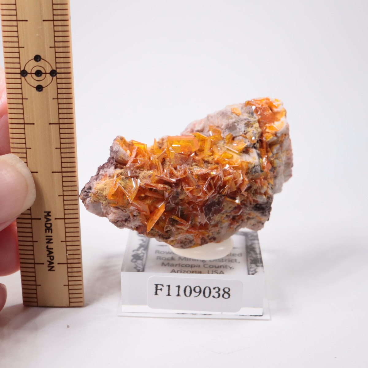 Rowley�ۻ� ����ե��ʥ���