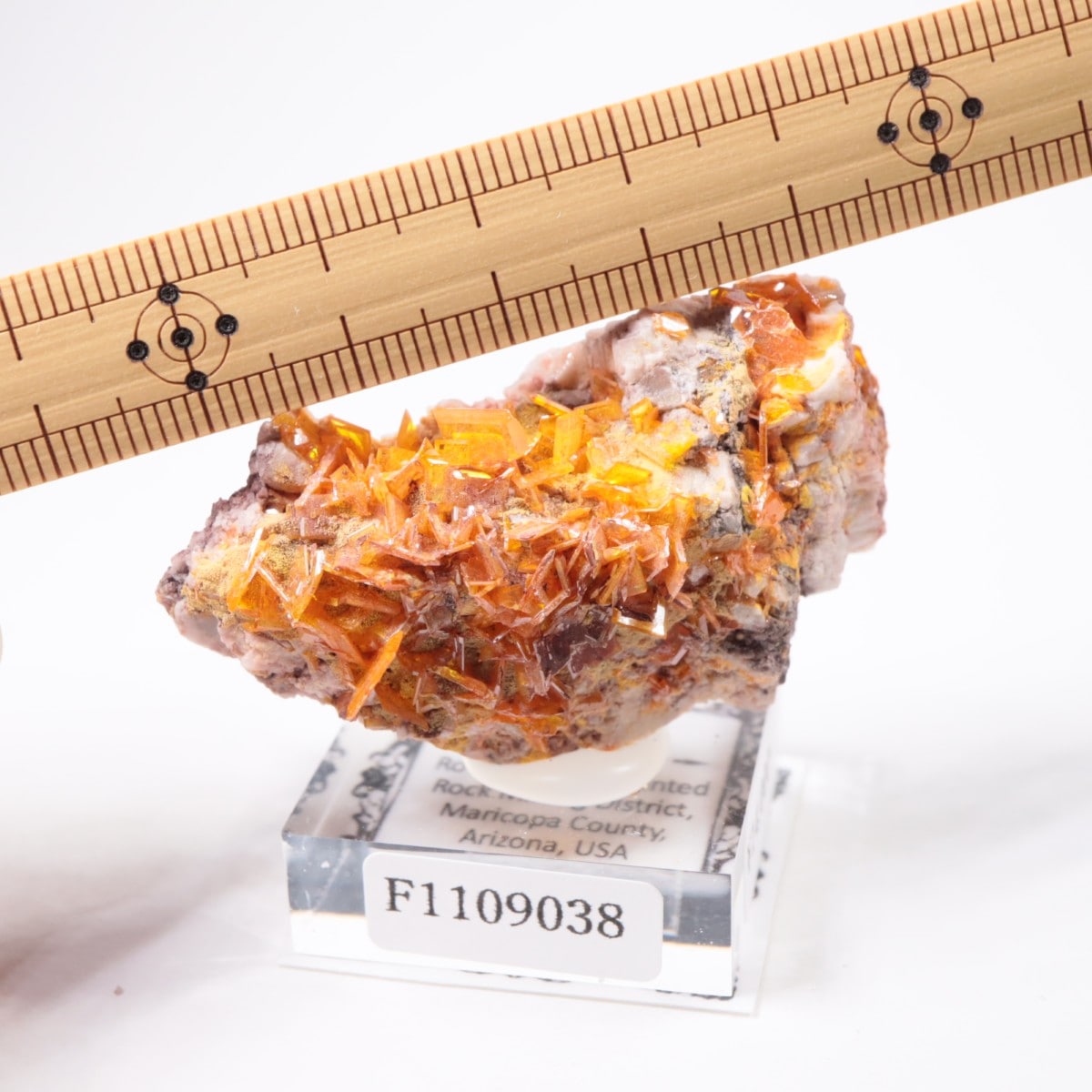 Rowley�ۻ� ����ե��ʥ���