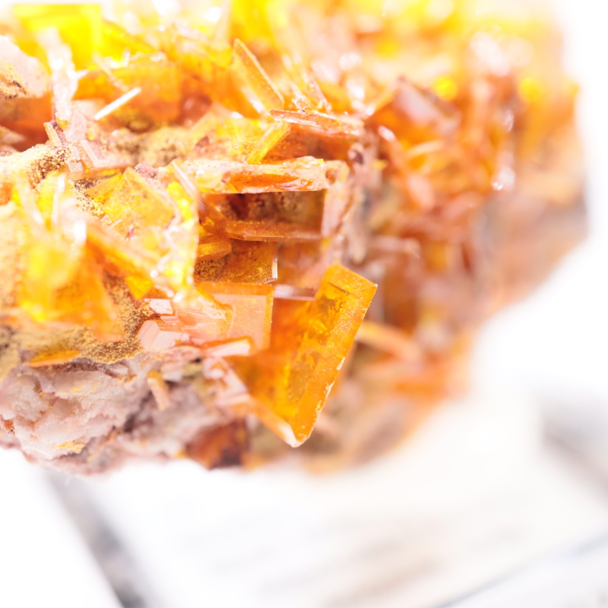 Rowley�ۻ� ����ե��ʥ���