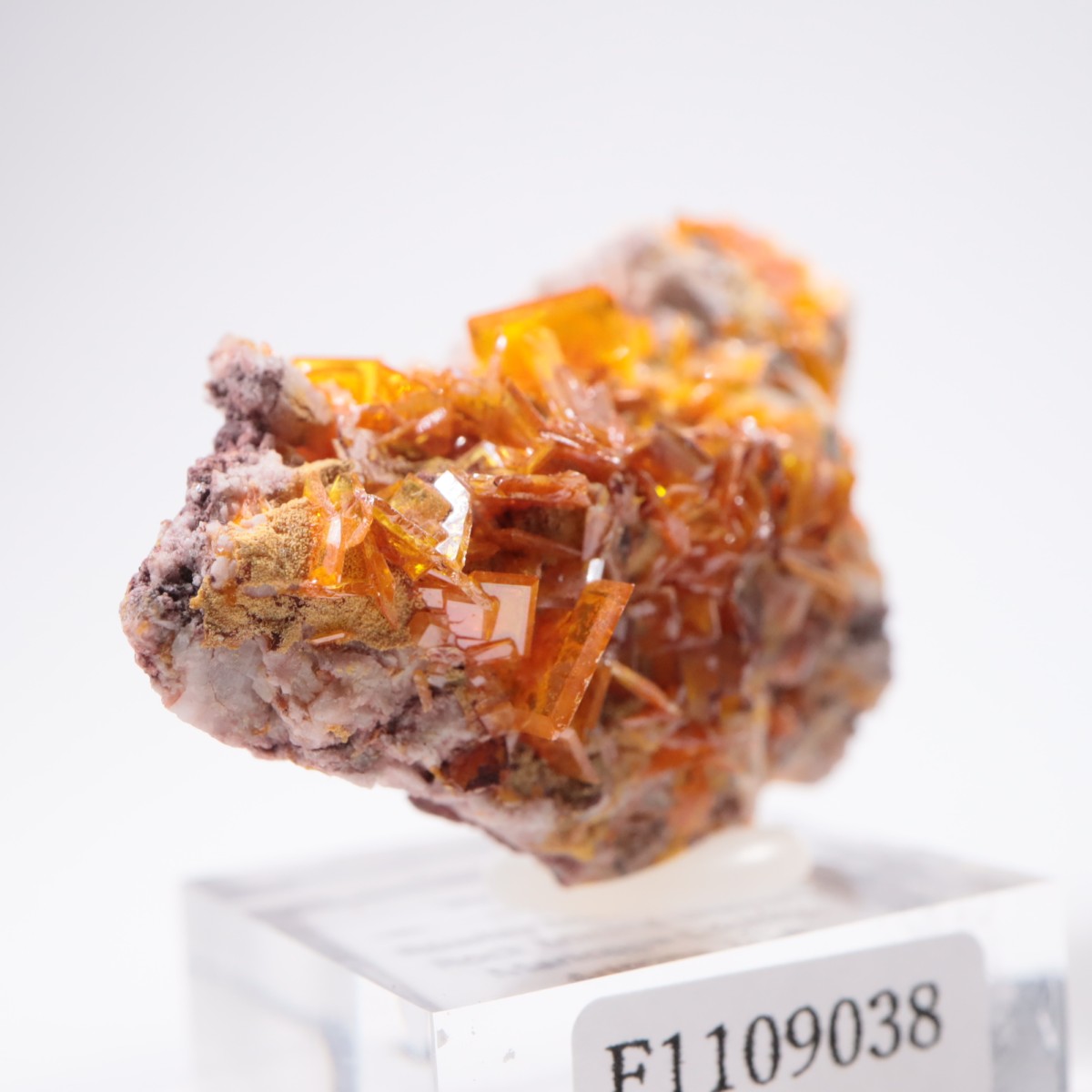 Rowley�ۻ� ����ե��ʥ���