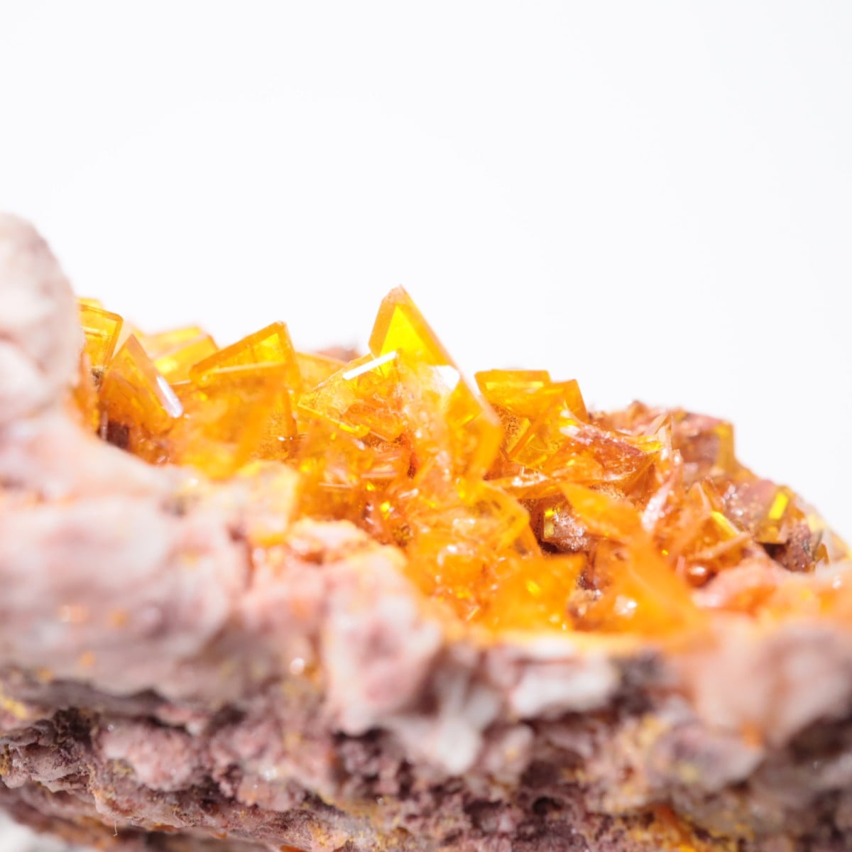 Rowley�ۻ� ����ե��ʥ���