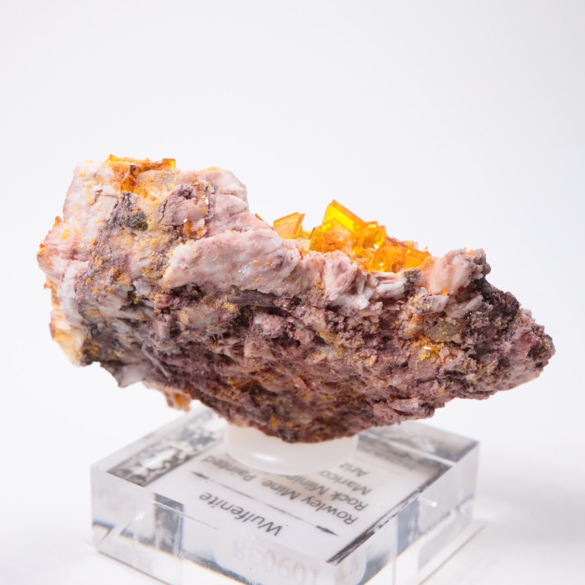 Rowley�ۻ� ����ե��ʥ���