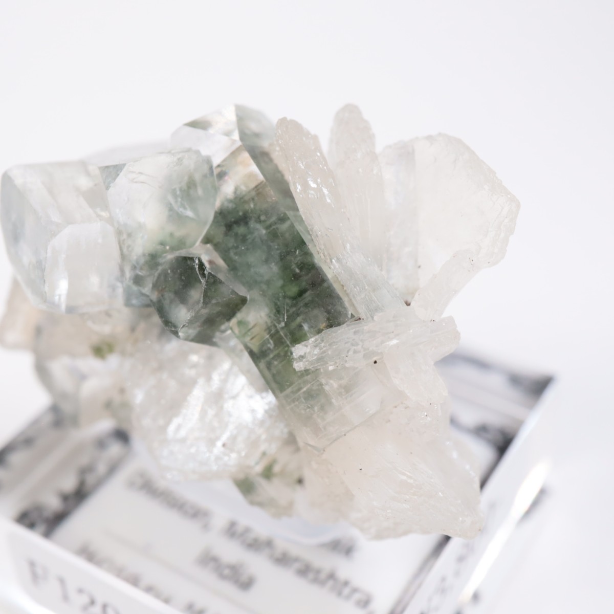 ����ɻ� ���ݥե��饤��