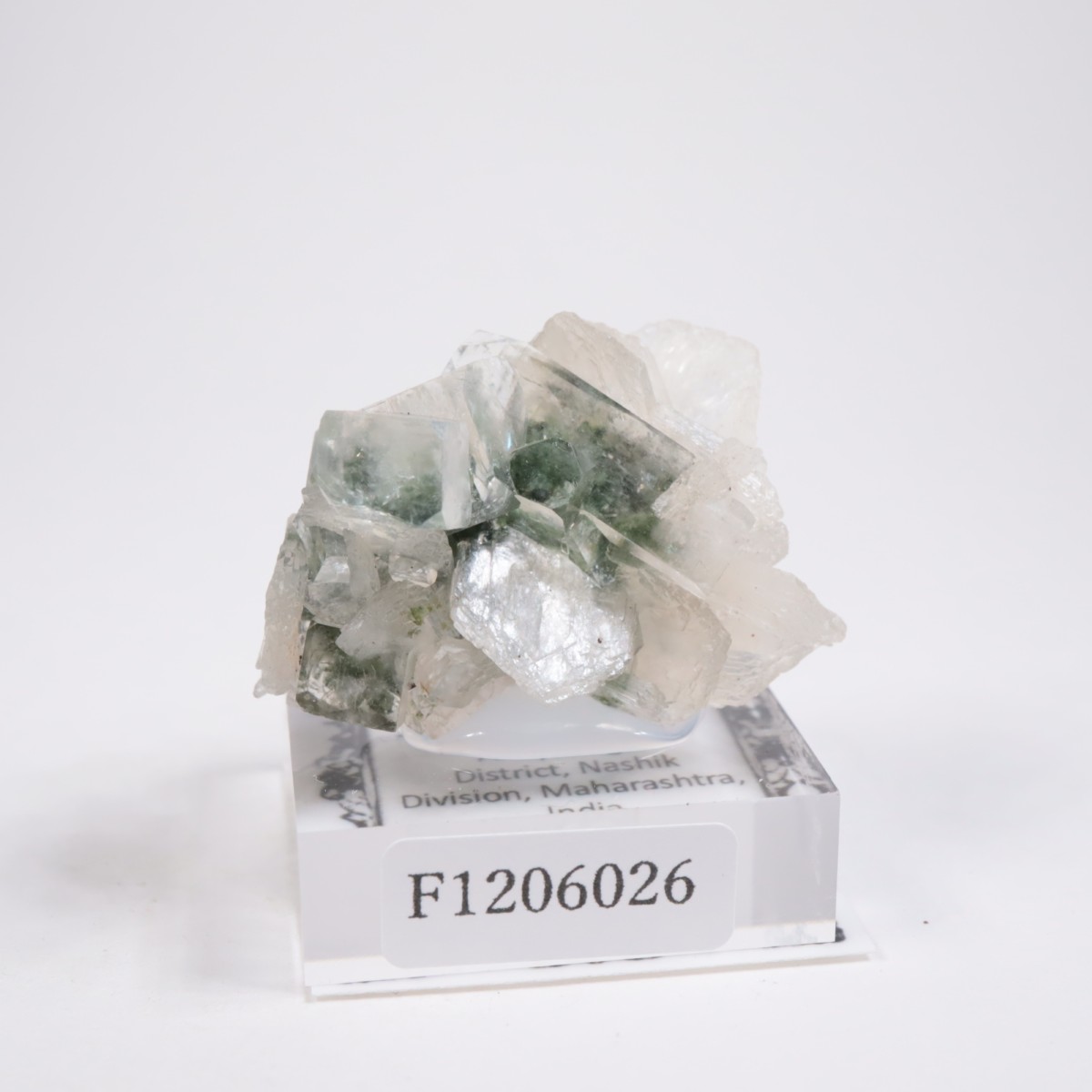 ����ɻ� ���ݥե��饤��