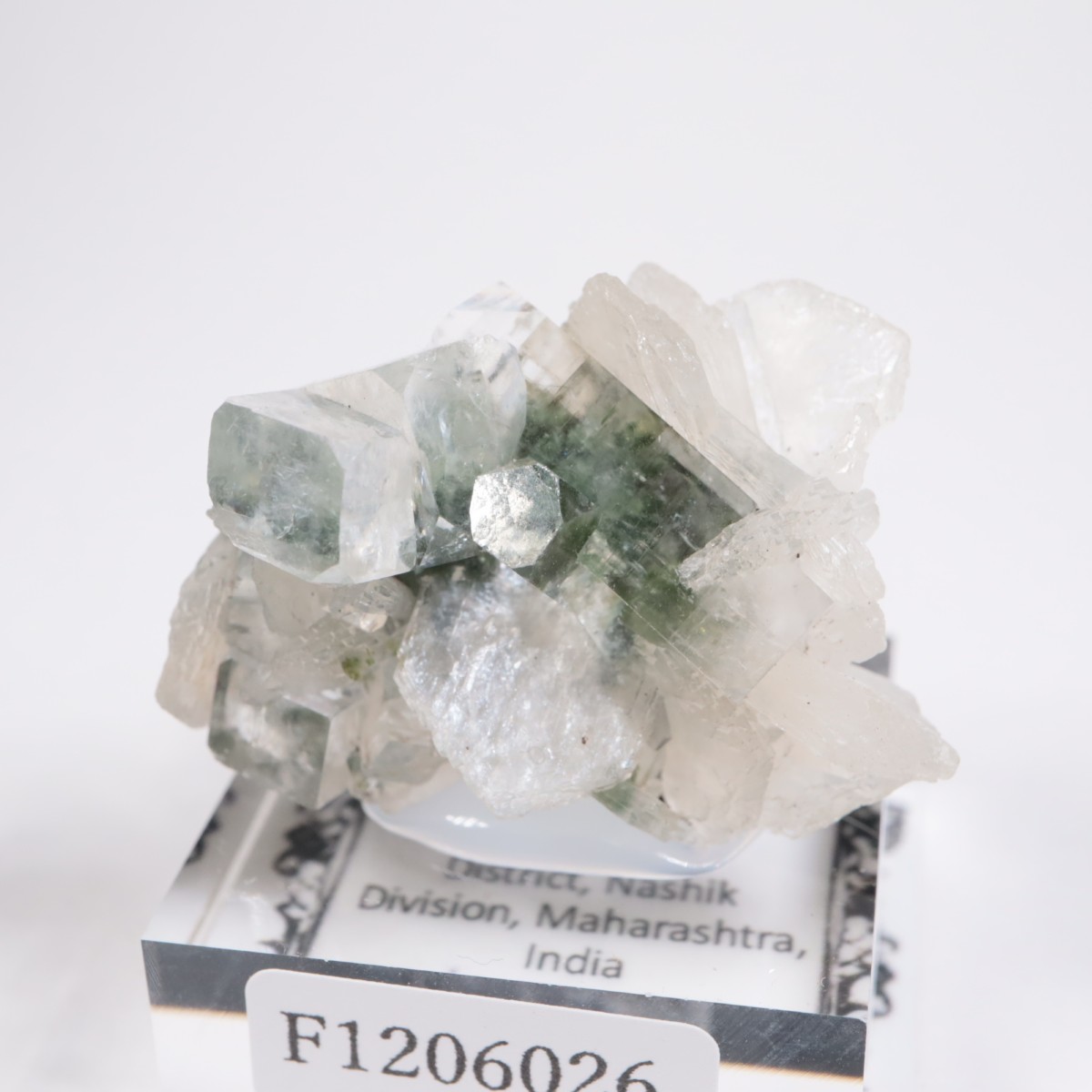 ����ɻ� ���ݥե��饤��