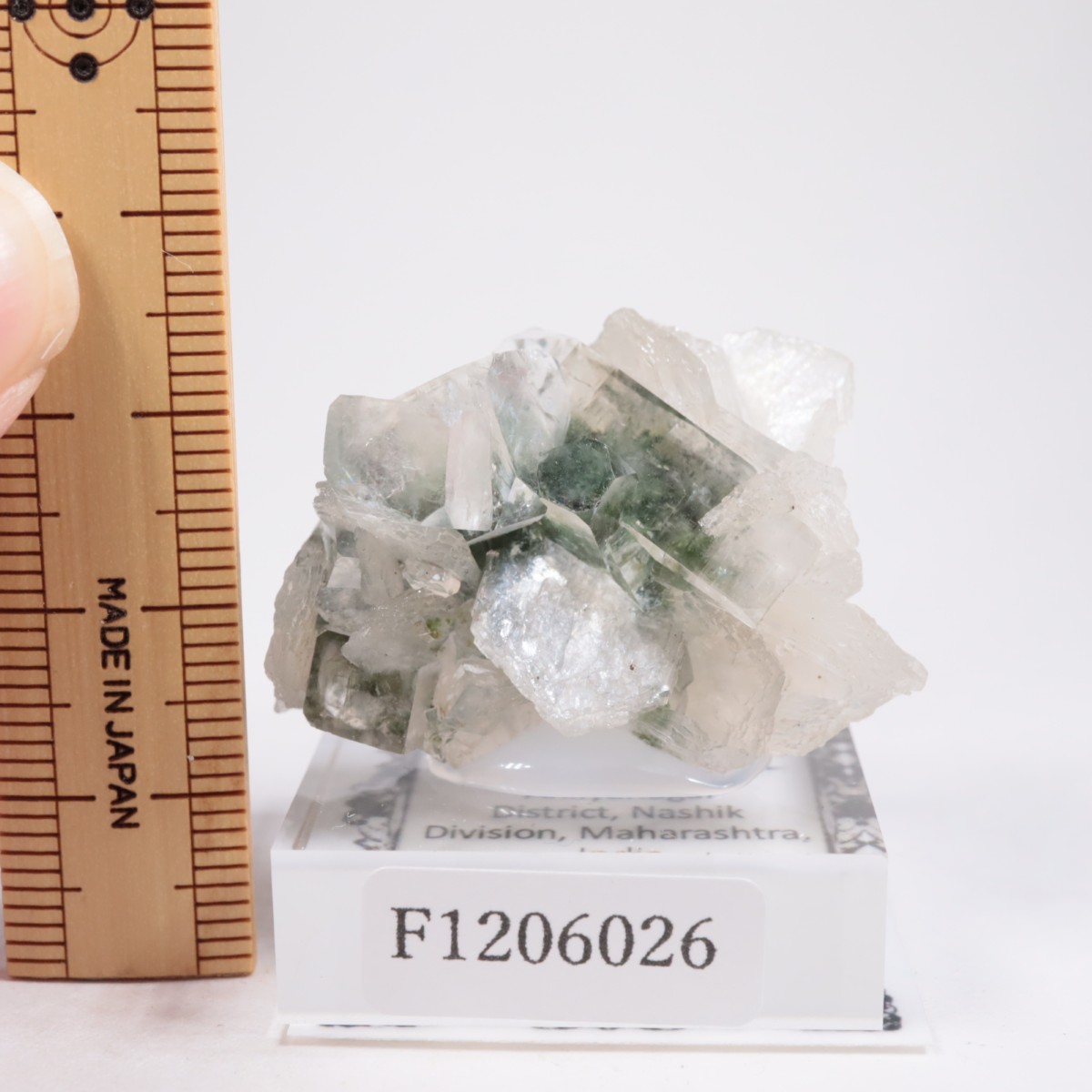 ����ɻ� ���ݥե��饤��