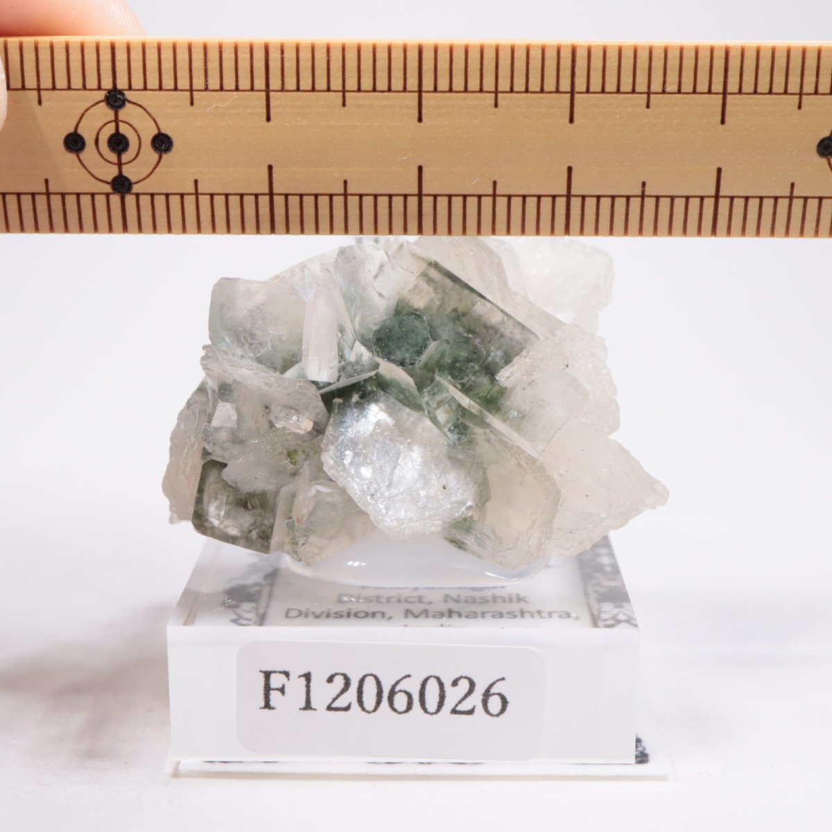 ����ɻ� ���ݥե��饤��