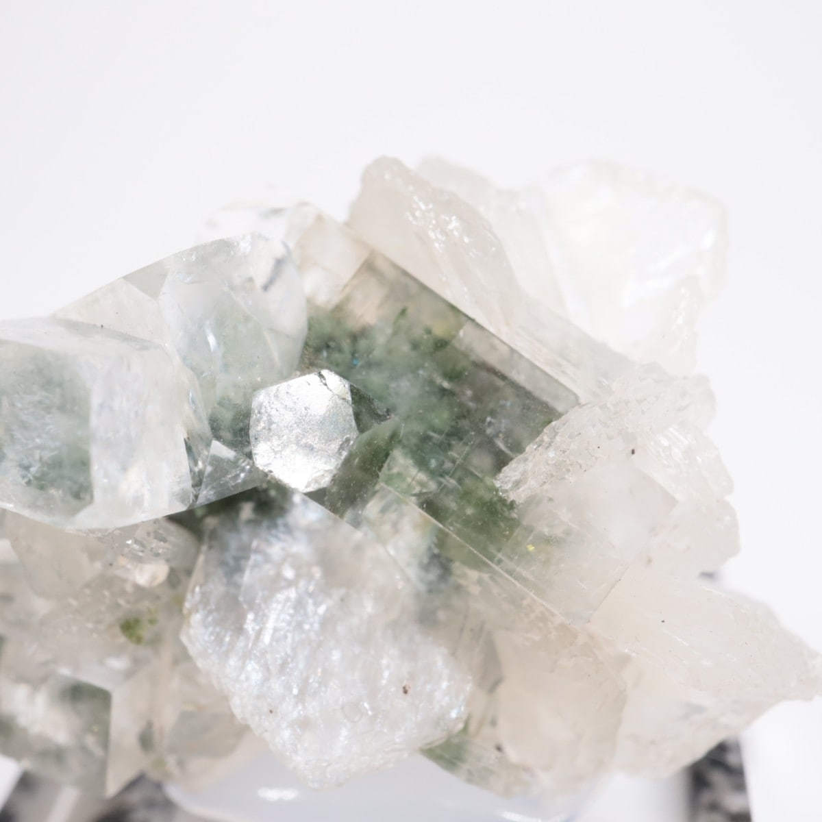 ����ɻ� ���ݥե��饤��