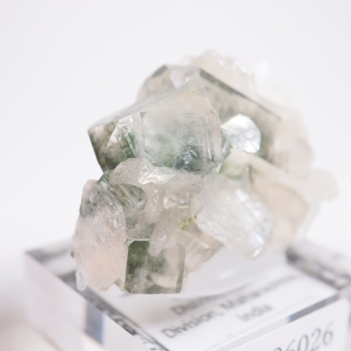 ����ɻ� ���ݥե��饤��