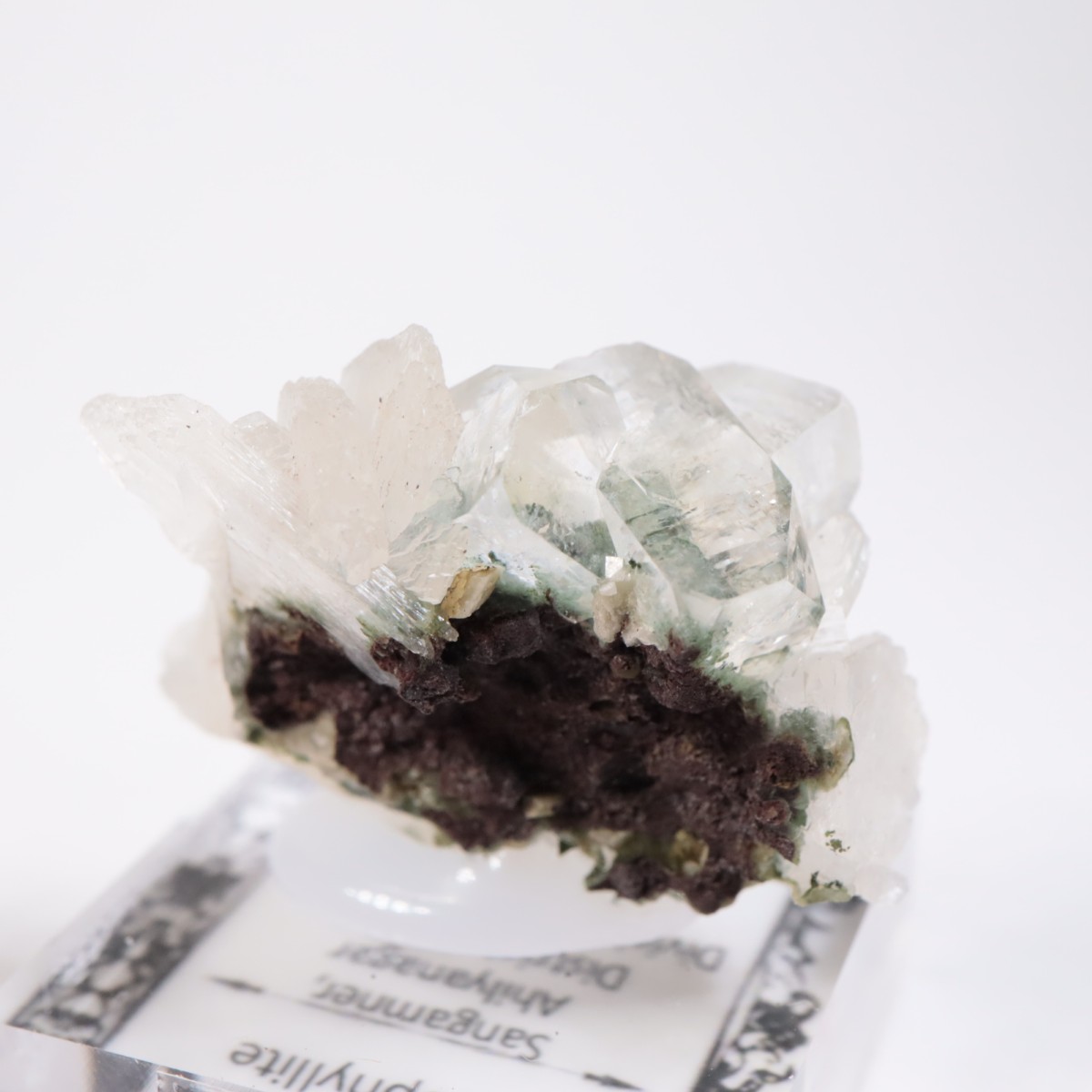 ����ɻ� ���ݥե��饤��