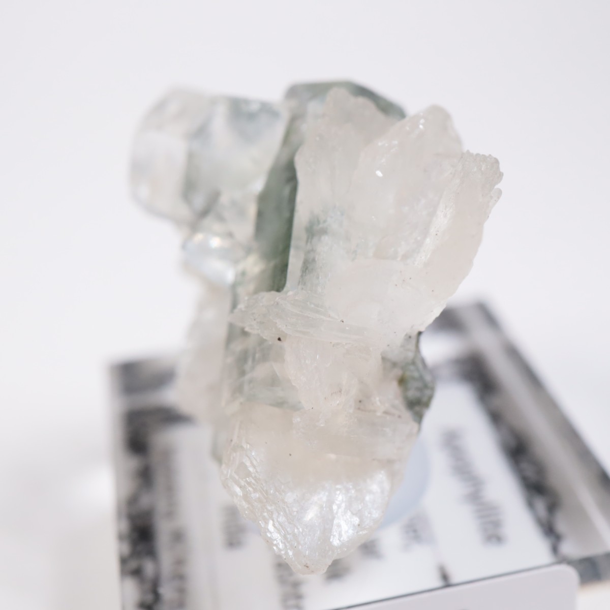 ����ɻ� ���ݥե��饤��