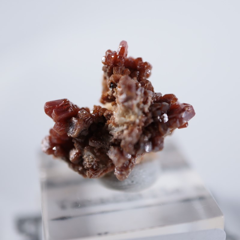 ����å������Хʥǥ��ʥ���