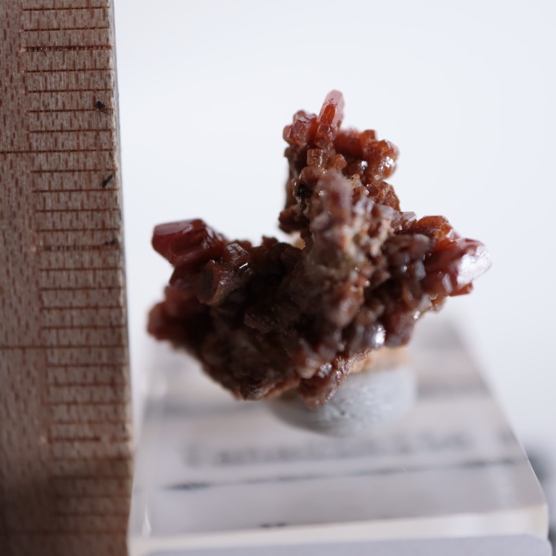 ����å������Хʥǥ��ʥ���