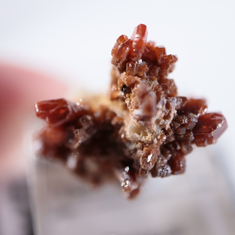 ����å������Хʥǥ��ʥ���