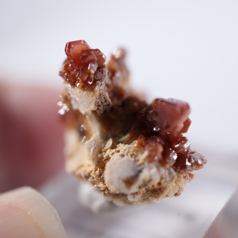 ����å������Хʥǥ��ʥ���